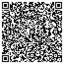 QR code with Project Five contacts