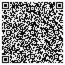 QR code with PSI Security contacts