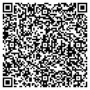 QR code with Copious Consulting contacts