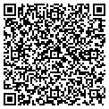 QR code with Signal contacts