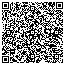 QR code with Professional Systems contacts