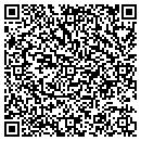 QR code with Capital Signs Inc contacts