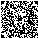QR code with Color Magic Group Inc contacts