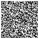 QR code with Public Storage contacts
