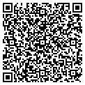 QR code with Subway contacts