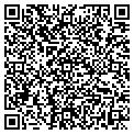 QR code with Cognos contacts