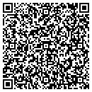 QR code with Pti Instruments Inc contacts