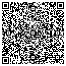QR code with Carefree Travel Inc contacts