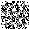QR code with Pruitts Construction contacts