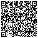QR code with Shell contacts