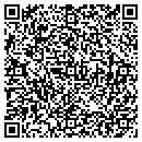 QR code with Carpet Systems Inc contacts