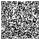 QR code with Puddleville Pizza contacts