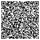 QR code with Brian's Tree Service contacts