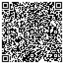 QR code with CWS Consulting contacts