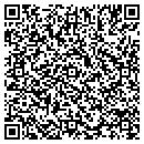 QR code with Colonial Pipeline Co contacts