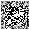 QR code with Tilt contacts