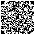QR code with Velvet contacts