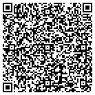 QR code with Babblefish Consulting LLC contacts