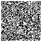 QR code with Public Works Fleet Mntnc contacts