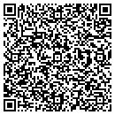 QR code with Carlinvision contacts