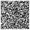 QR code with Pumping Systems Inc contacts