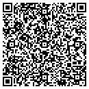 QR code with Publix contacts