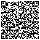 QR code with Cairo Energy Service contacts