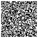 QR code with Pro Auto Service contacts
