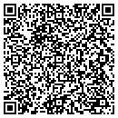 QR code with Project Destiny contacts