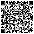 QR code with Aavim contacts