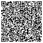 QR code with Pumphrey Architecture Inc contacts