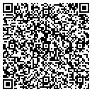 QR code with Carol C Steveson P A contacts