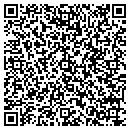 QR code with Promagnetnet contacts
