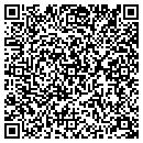 QR code with Public Works contacts