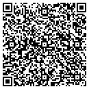 QR code with Practical Computing contacts