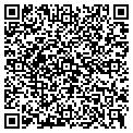 QR code with NDR Co contacts