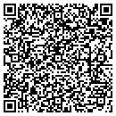 QR code with Problem Solver contacts