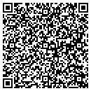QR code with Previously Owned Autos contacts