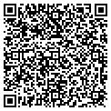 QR code with Amway contacts
