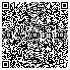 QR code with Professional Auto Detail contacts