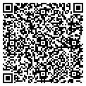QR code with Willows contacts