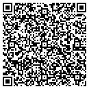 QR code with Professional Keys contacts
