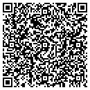 QR code with C W Austin Co contacts
