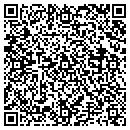 QR code with Proto Logic EDS Inc contacts
