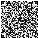 QR code with Public Storage contacts