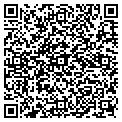QR code with Basils contacts