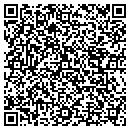 QR code with Pumping Systems Inc contacts