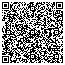QR code with Carpet Store contacts