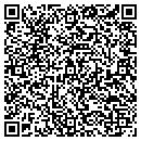 QR code with Pro Import Service contacts