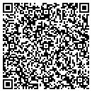 QR code with Cyberscience Design contacts